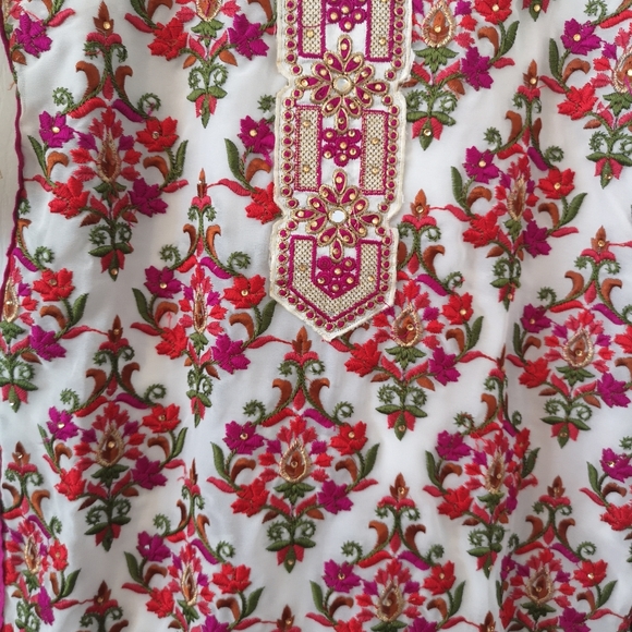 Indian Suit - Picture 9 of 10